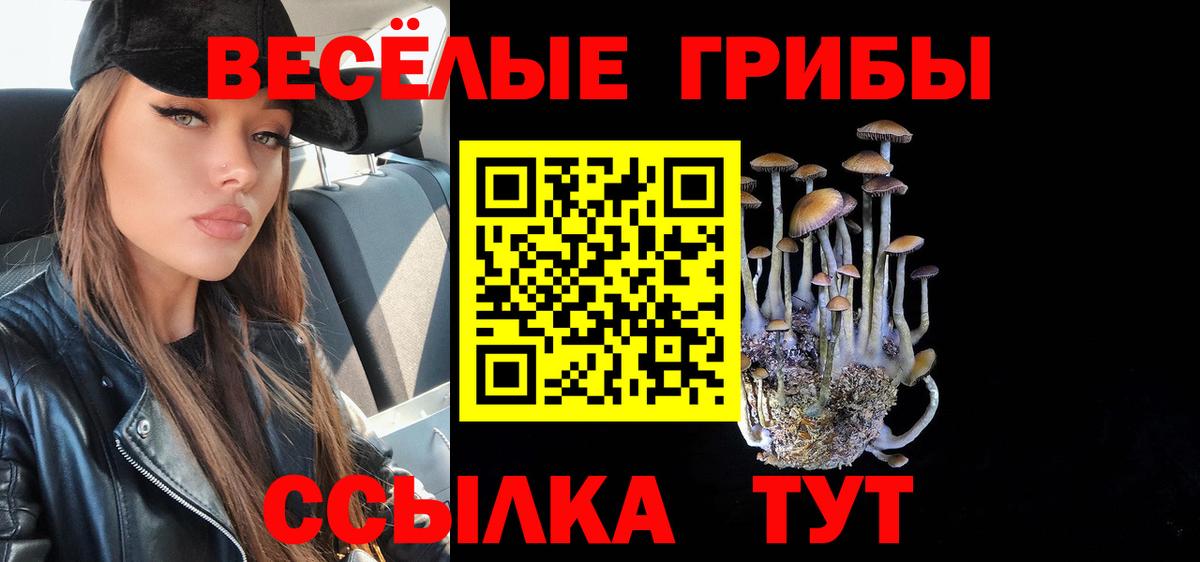Боровичи  Псилоцибиновые грибы Magic Shrooms  Псилоцибиновые грибы ЛСД  Вход с VPN 